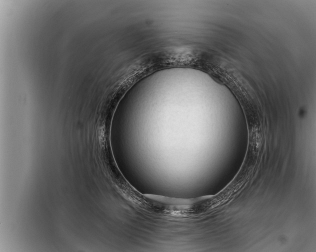 X0000098170564200805011016