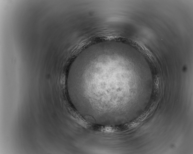 X0000098170565200805011016