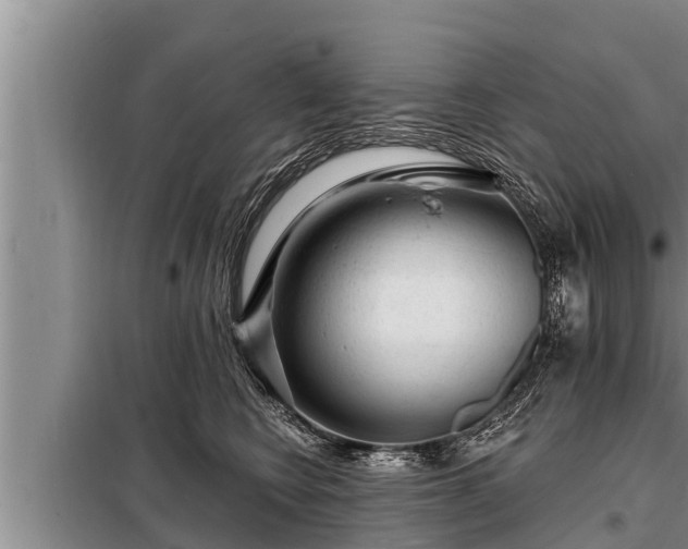 X0000098170566200805011016