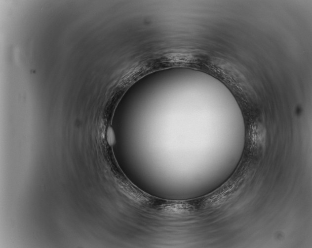 X0000098170567200805011016