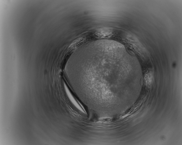 X0000098170570200805011016