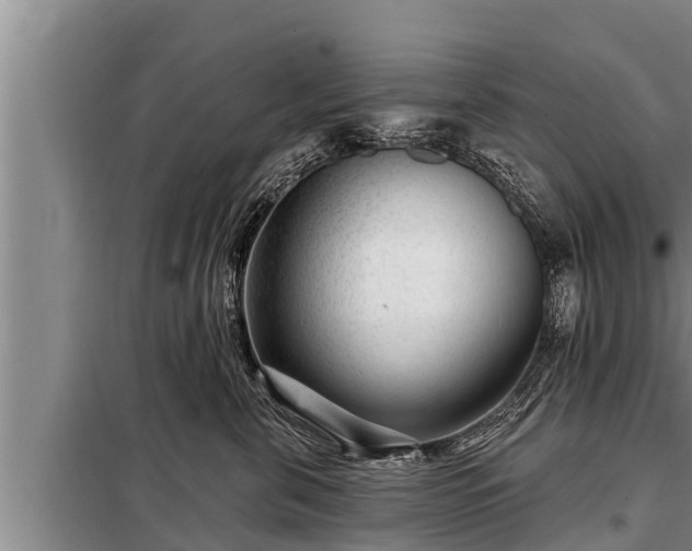 X0000098170571200805011016