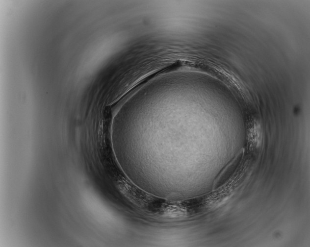 X0000098170572200805011016