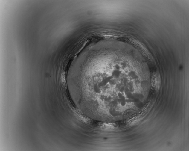 X0000098170573200805011016