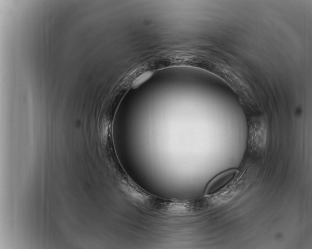 X0000098170574200805011017