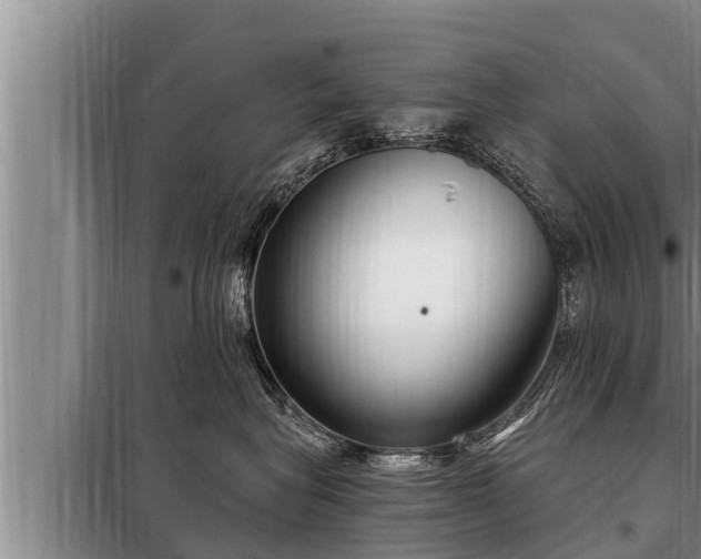 X0000098170575200805011017