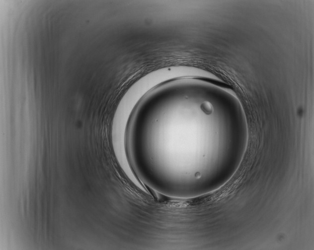 X0000098170576200805011017