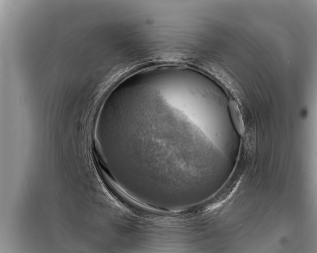 X0000098170577200805011016