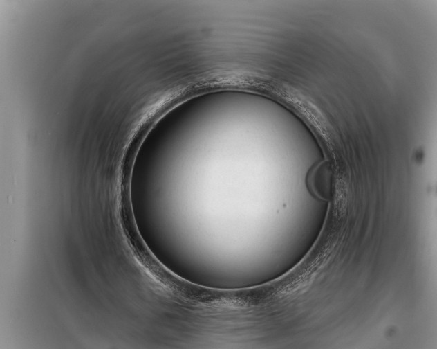 X0000098170578200805011016