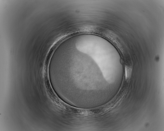 X0000098170579200805011016