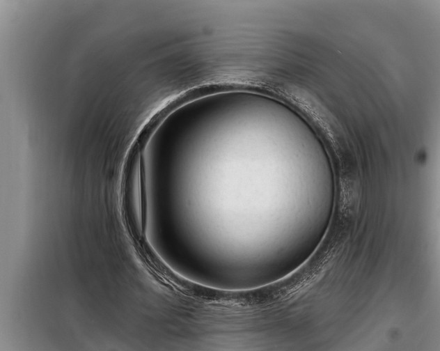 X0000098170580200805011016