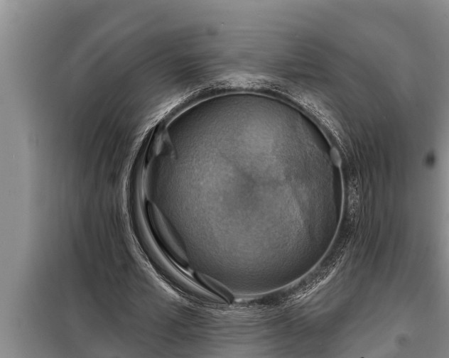 X0000098170581200805011016