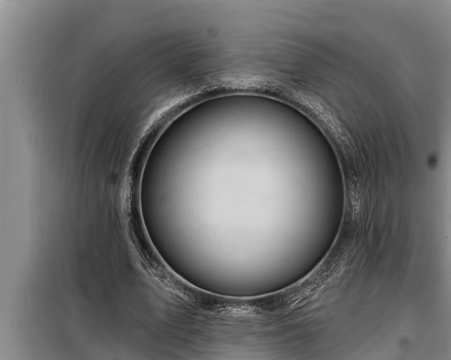 X0000098170583200805011016