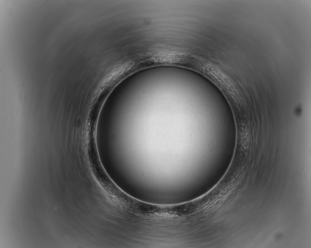 X0000098170586200805011016