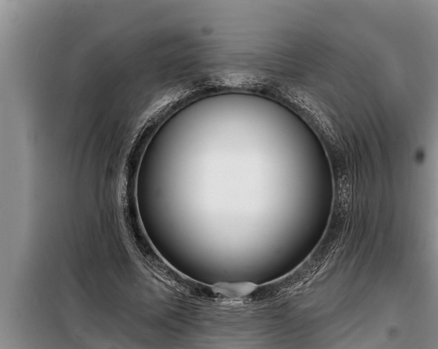 X0000098170587200805011016