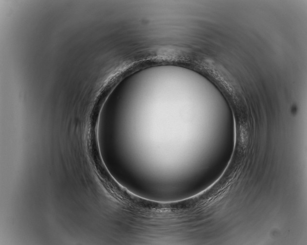 X0000098170588200805011016