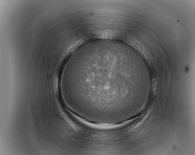 X0000098170589200805011016