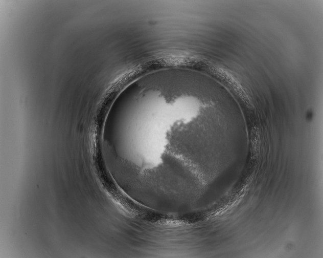 X0000098170590200805011016