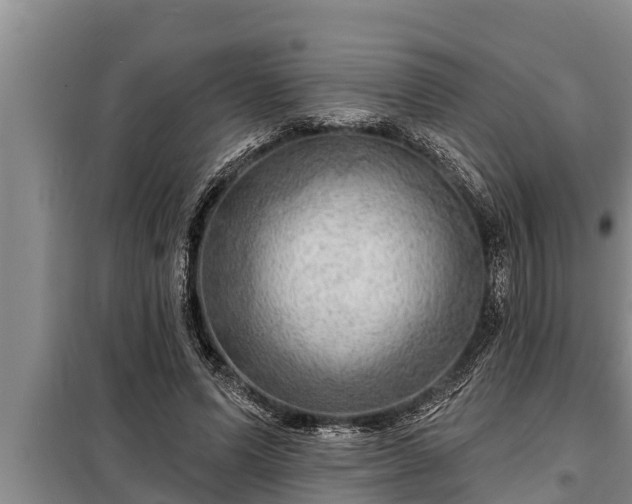 X0000098170591200805011016