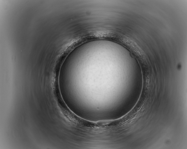 X0000098170592200805011015