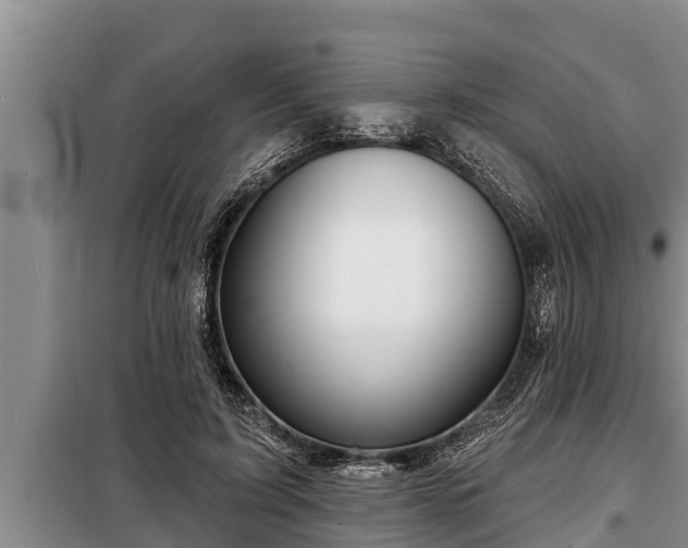 X0000098170595200805011015