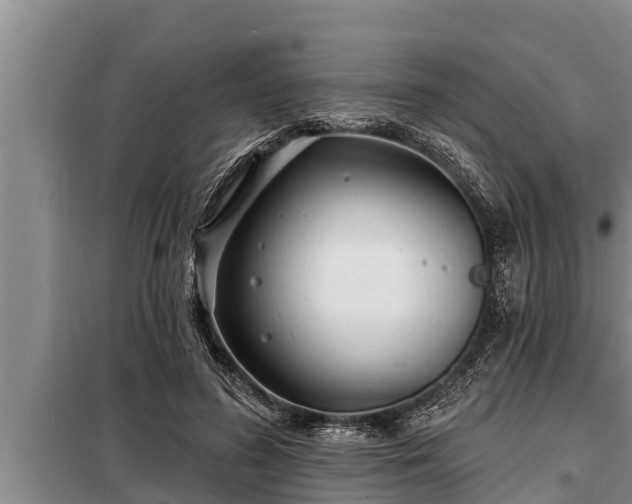 X0000098170596200805011015