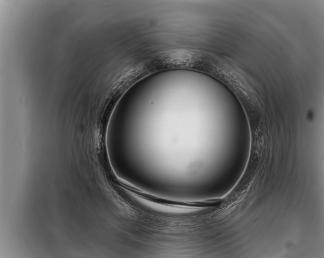 X0000098170597200805011015