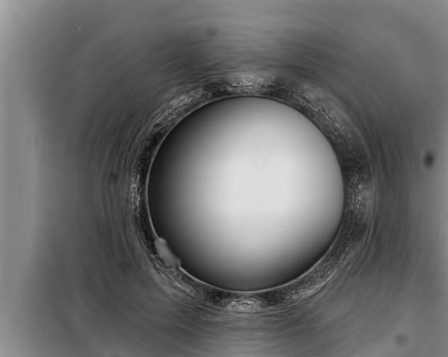 X0000098170599200805011015