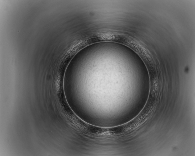 X0000098170600200805011015