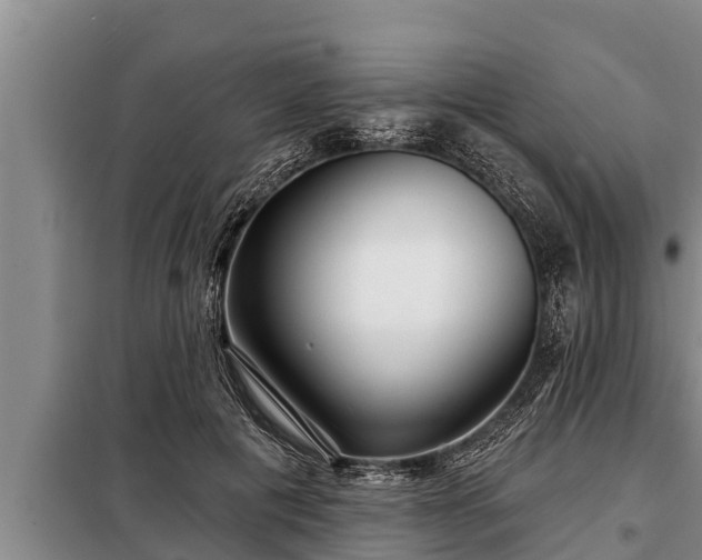 X0000098170601200805011015