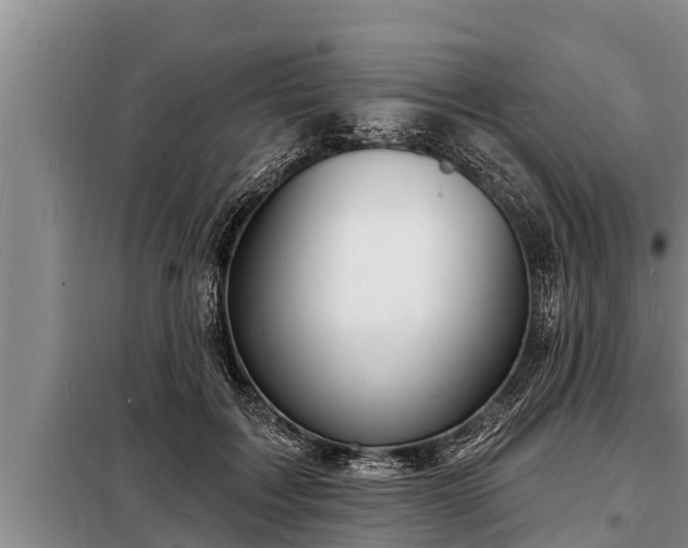 X0000098170603200805011015