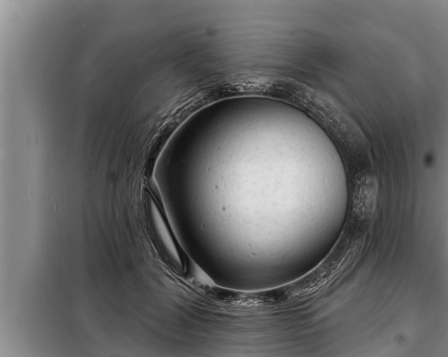 X0000098170604200805011015