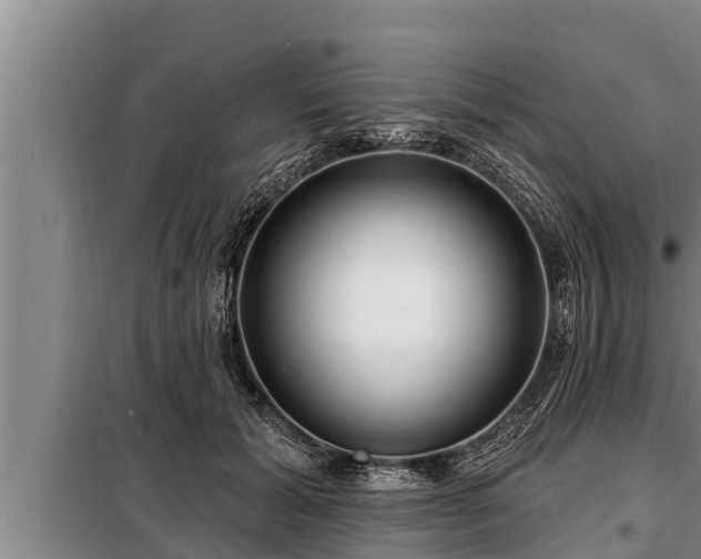 X0000098170605200805011015