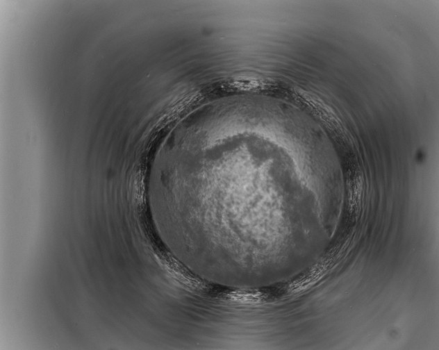 X0000098170606200805011015