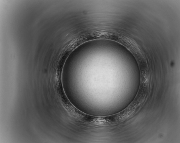 X0000098170607200805011015