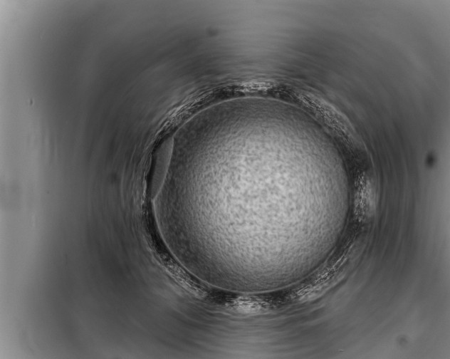 X0000098170608200805011015