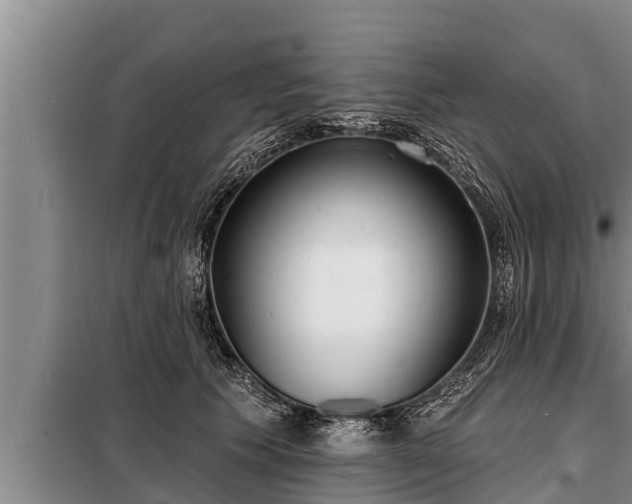 X0000098170609200805011015