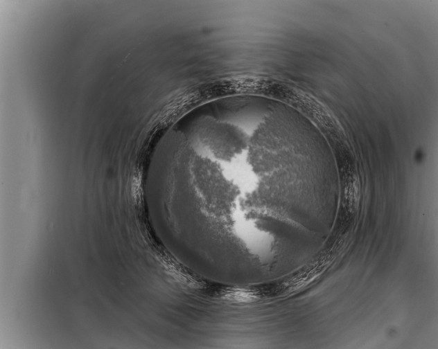 X0000098170610200805011015