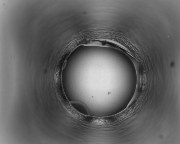 X0000098170611200805011015