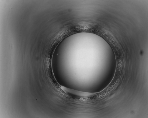 X0000098170612200805011015