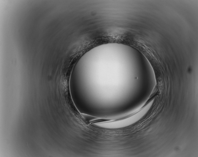 X0000098170613200805011015