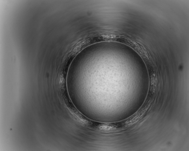 X0000098170614200805011015