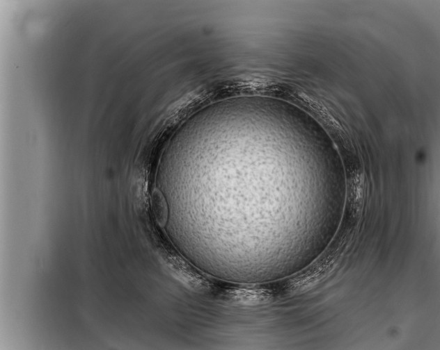 X0000098170615200805011015