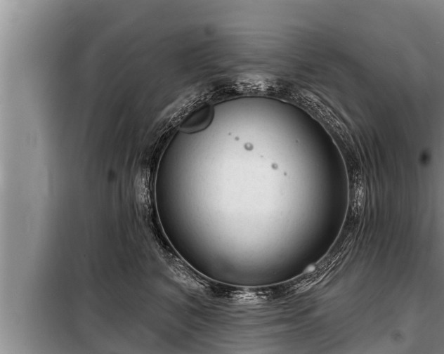 X0000098170616200805011015