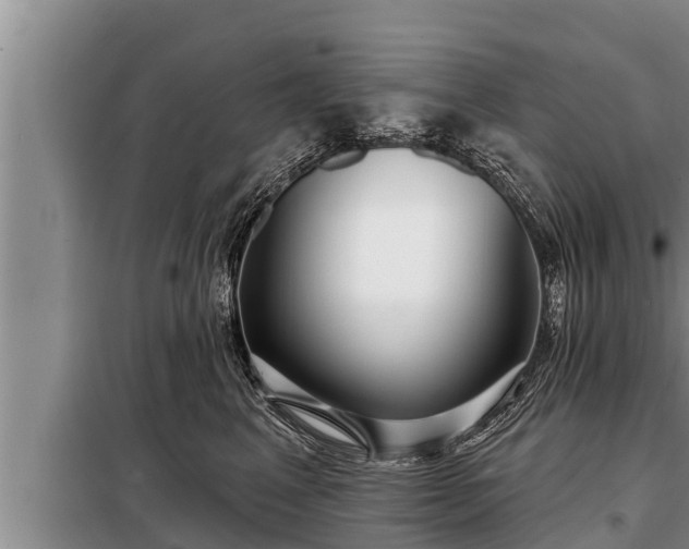 X0000098170617200805011015