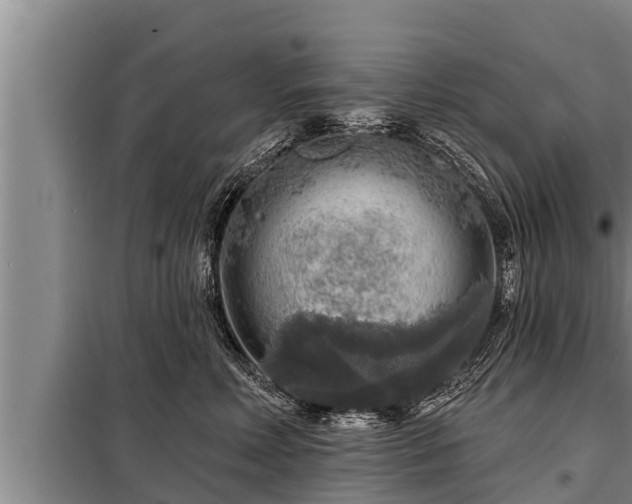 X0000098170618200805011015