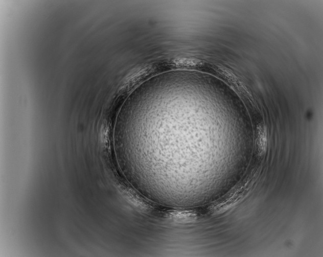 X0000098170619200805011015