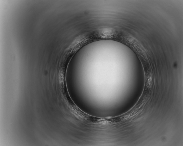 X0000098170620200805011015