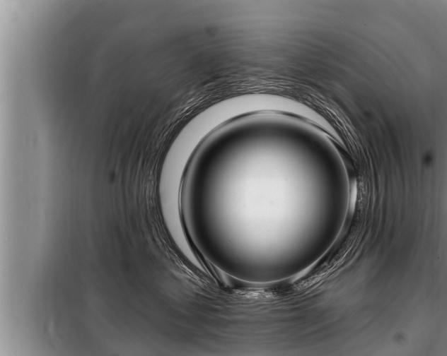 X0000098170621200805011015