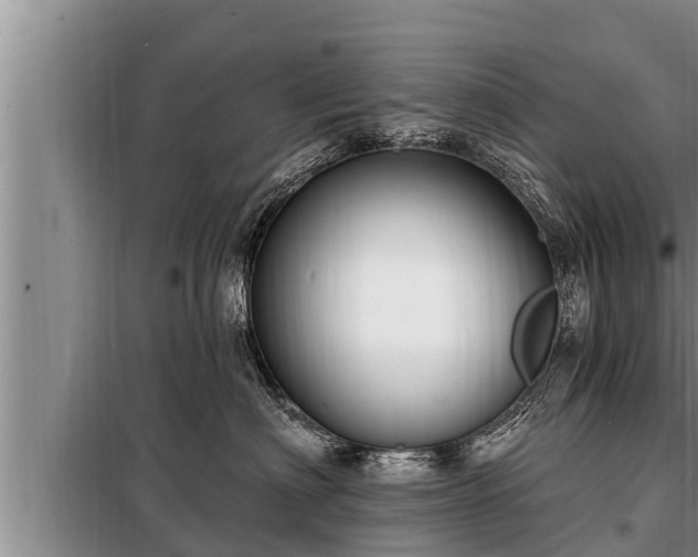 X0000098170622200805011015